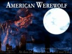 American Werewolf