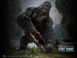 King Kong King Kong