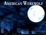 American Werewolf
